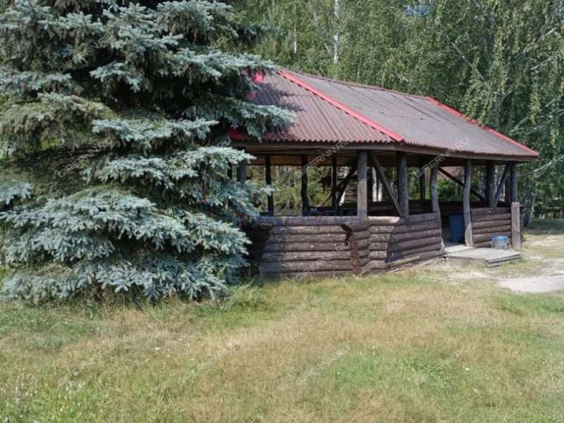 готовый бизнес база отдыха "кедр" в Лысковском районе Нижегородской области